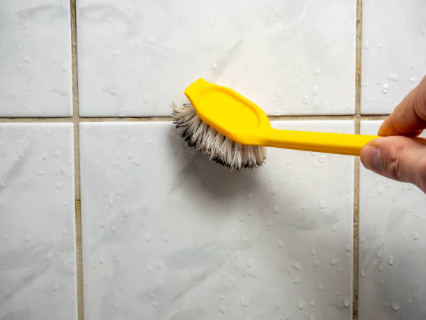 Best Mold Testing  in Grosse Pointe, MI