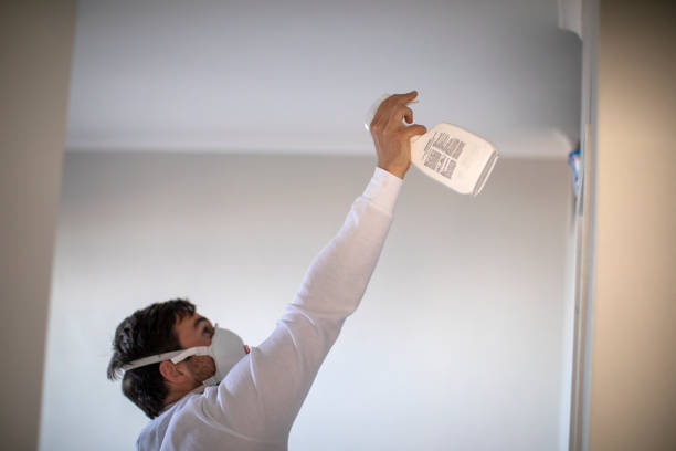 Best Mold Cleaning Services  in Grosse Pointe, MI