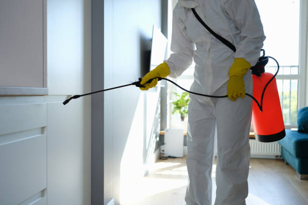 Attic Mold Removal in Grosse Pointe, MI