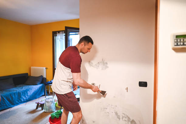 Crawl Space Mold Removal in Grosse Pointe, MI